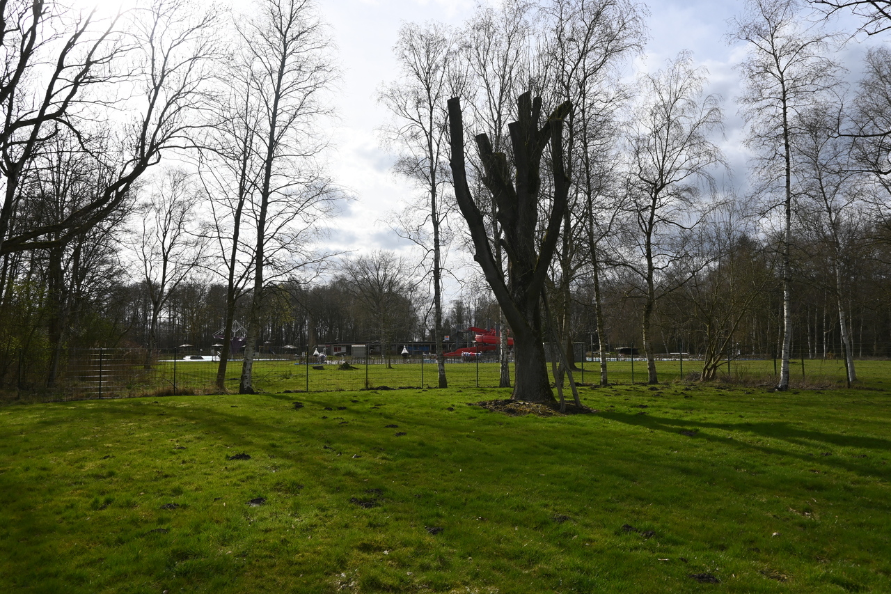 Blick auf einen Teil des Außengeländes der Villa M.